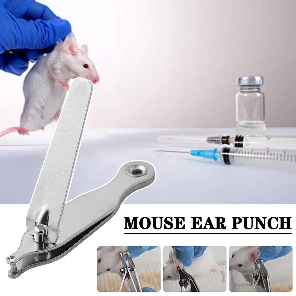 1PCS Professional Rodent Pet Mouse Rat Hole Punch Lab Hamster Mark Steel Plier Marking Experiment Stainless Ear 2mm Supplie W5J5