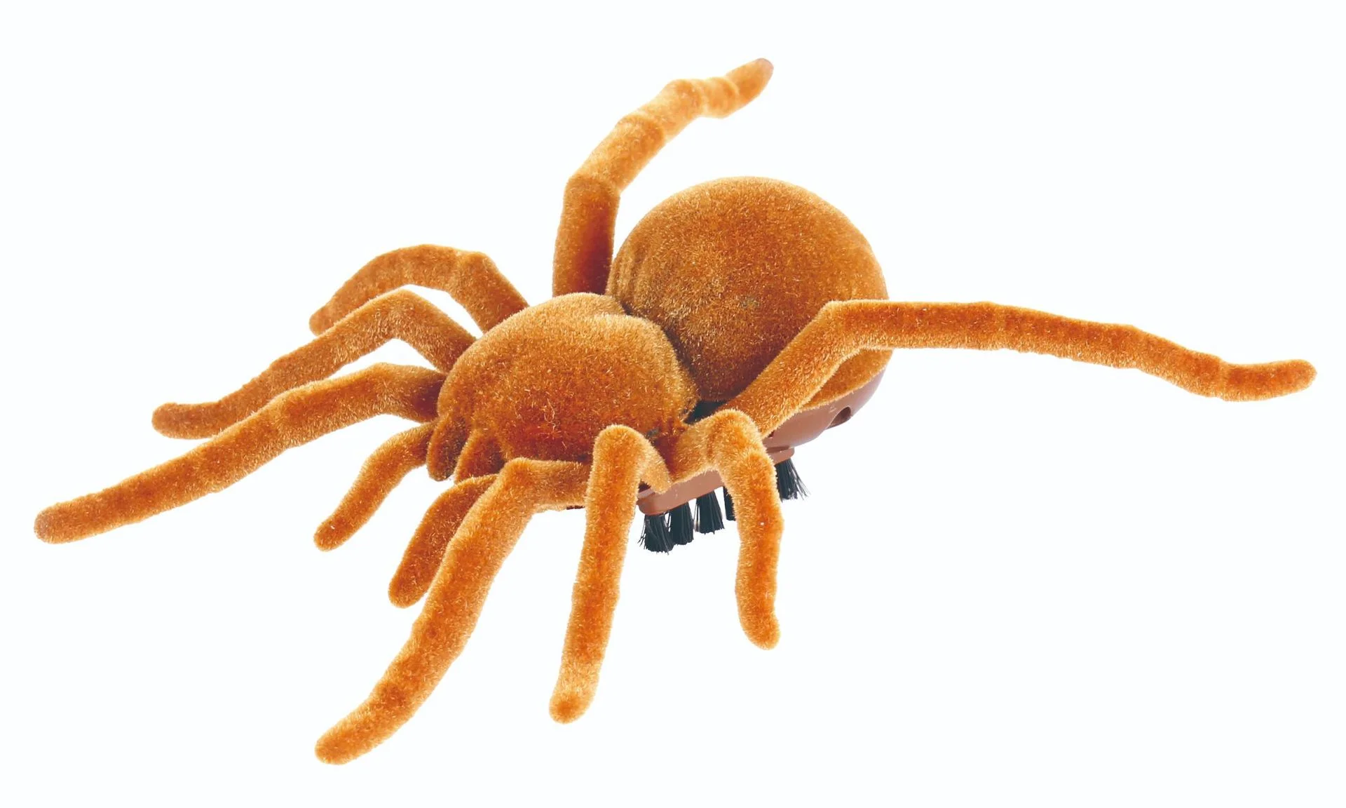 خدعة المشي صرصور الرتيلاء الماوس اليعسوب إغاظة الكلب القط المزحة محاكاة الزواحف الكهربائية تهتز فرشاة لعبة الحيوانات الأليفة