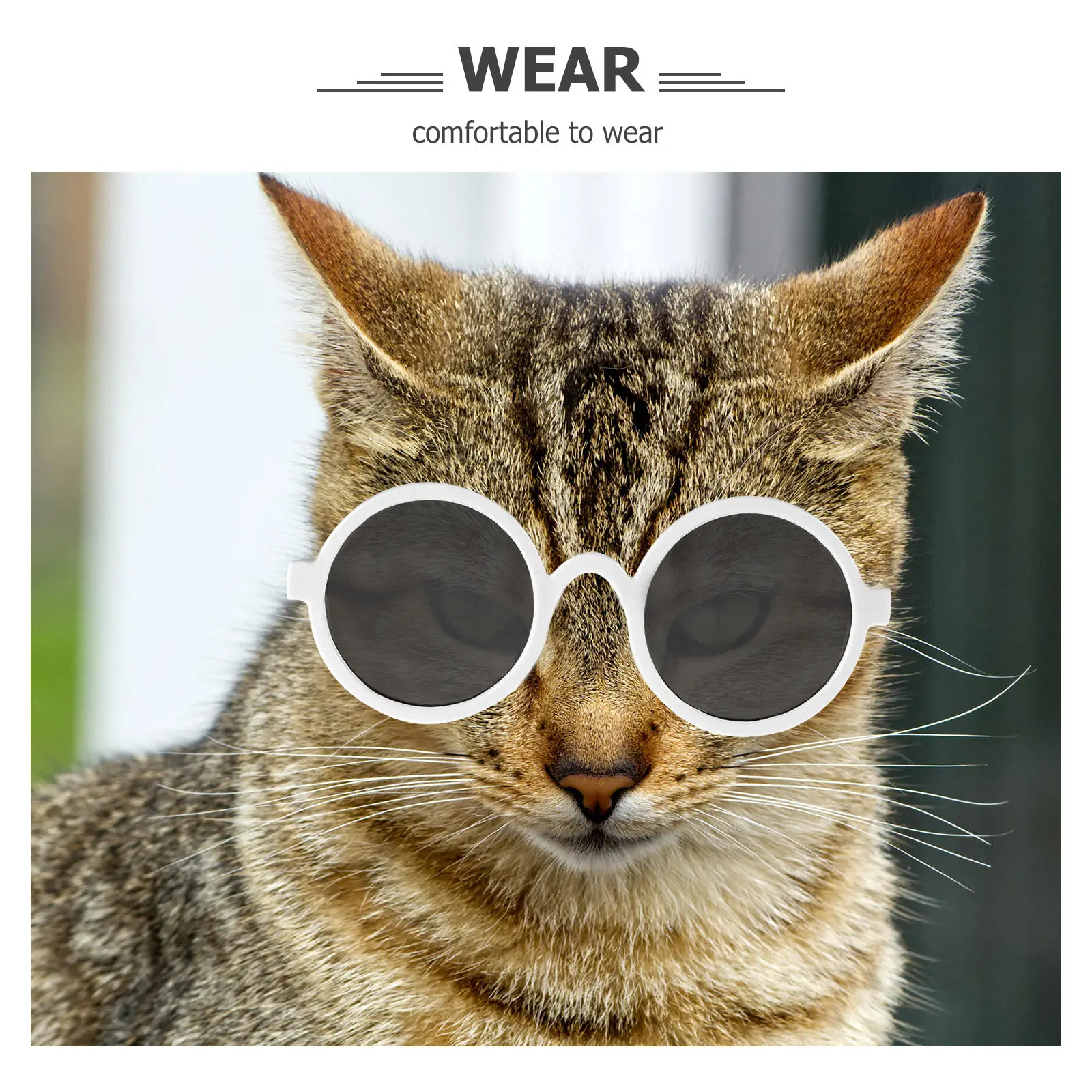 2Pcs Funny Pet Glasses Dog Cat Small Dog Puppy Decorative Cosplay Spoof Glasses for Photo Shoot Party Wear