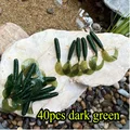 40pcs dark green