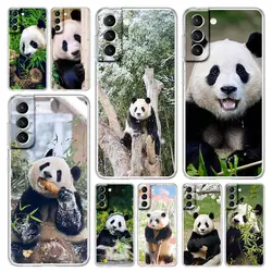 Fubao panda Clear Phone Case For Samsung Galaxy S24 Plus S23 FE S22 S21 S20 Ultra 5G S10 S10E S9 S8 Soft Silicone Cover
