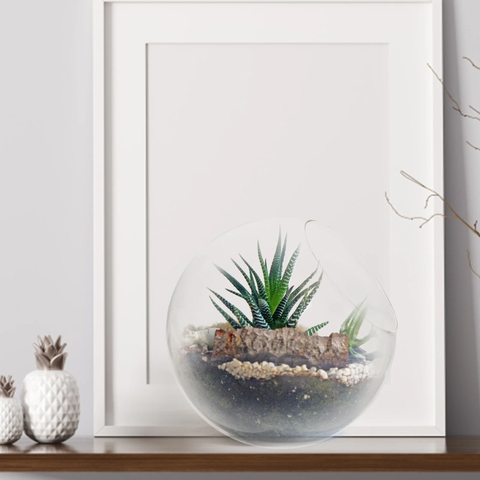 

Moss Glass Terrarium Desktop Micro-Landscape Bottle Durable Light Pervious Resistant Deformation 125 Glass Terrarium