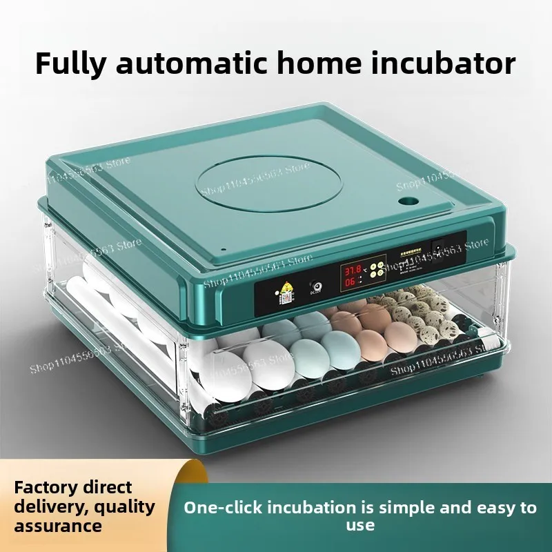 Intelligent Small Household Egg Incubator Auto Water Adding Automatic Hatcher for Chicken Duck Goose Pigeon Eggs