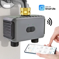 Temporizador de riego Tuya de 2 salidas