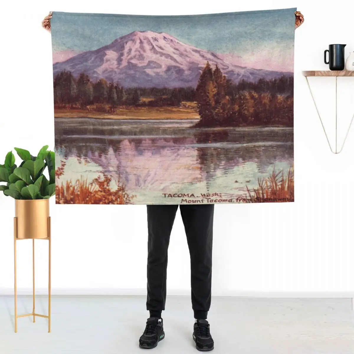 Mount Tacoma from Shanaway Lake - Washington Throw Blanket Soft Plaid for sofa Designers For Decorative Sofa Blankets