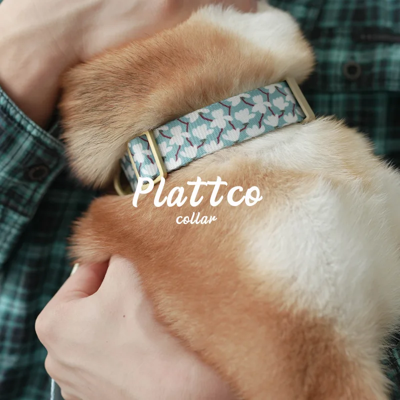 PLATTCO  Adjustable Dog Collar Personalized Name Engraved Nylon Small Medium Large Dogs Cold Gardenia 5 sizes PDC345