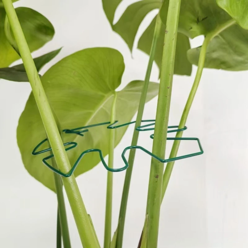 Anti-Tipping Support Frame,Plant Gathering Rack,Green Plant Fixation,Flower Rack Plant Stem Support,Suitable for Climbing Plants