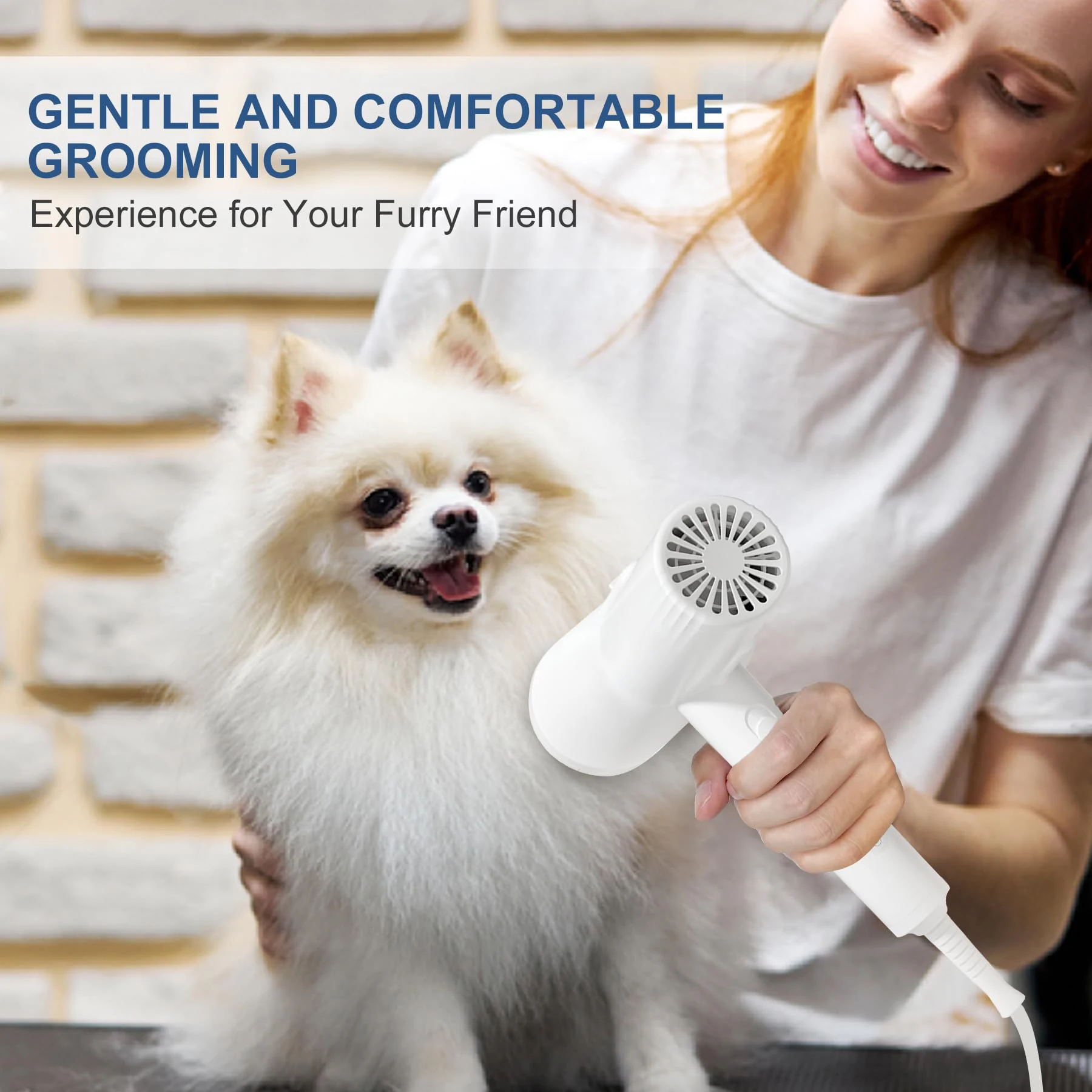 2-in-1 Dog Dryer and Brush- Pet Grooming Dryer with Overheating Protection 3 Blowing Modes Slimmer Handle Low Noise for Dog Cat
