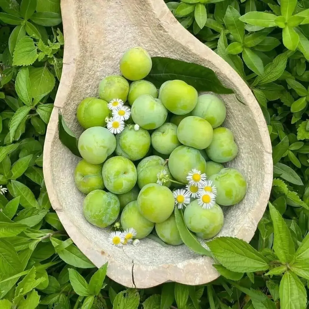 

Профессиональный диодный лазер для удаления волос 755нм 808нм 1064нм с функцией охлаждения