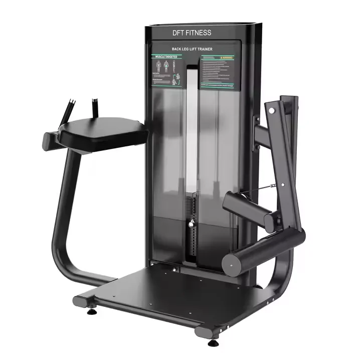 

2025 Hot Sale Fitness OEM Service DFT Glute Isolator E624 Commercial Gym Equipment