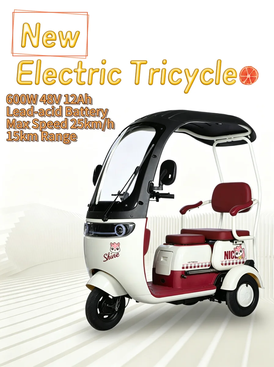 New Electric Tricycle 600W 48V 12Ah Lead-acid Battery Max Speed 25km/h 15km Range Household Small Enclosed Scooter