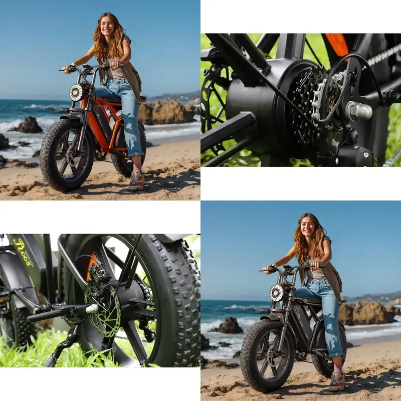 Seater Electric Off-Road Mountain E-Bike 20inch 750W Tire Bike with 48v Battery Steel Frame Best Price