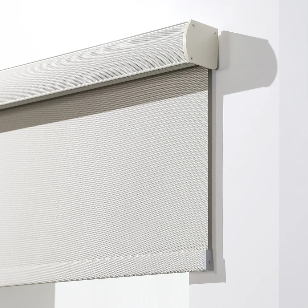 Custom Tuya Signee Zigbee Polyester Wireless Electric Automatic Smart Window Shade Motorized Roller Blind