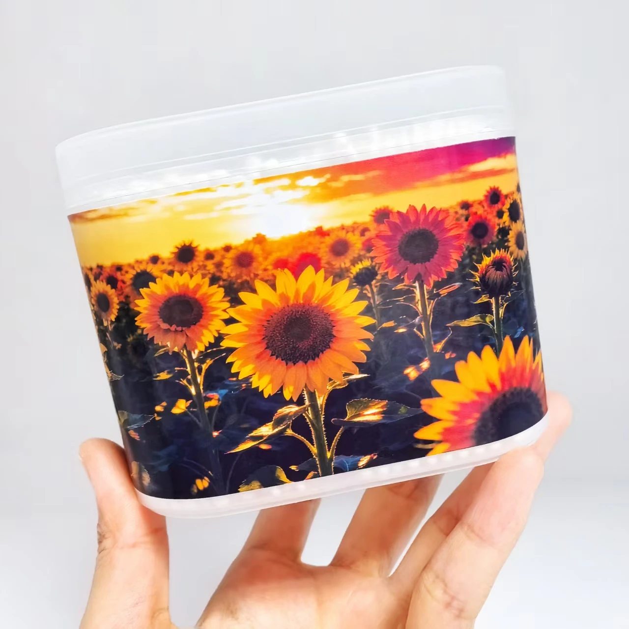 600 قطعة من مسحات القطن المزدوجة الأطراف بنمط عباد الشمس، "مولد نحو الشمس" تحت عنوان مسحات قطنية ذات عمود نحيف مزدوج الأطراف