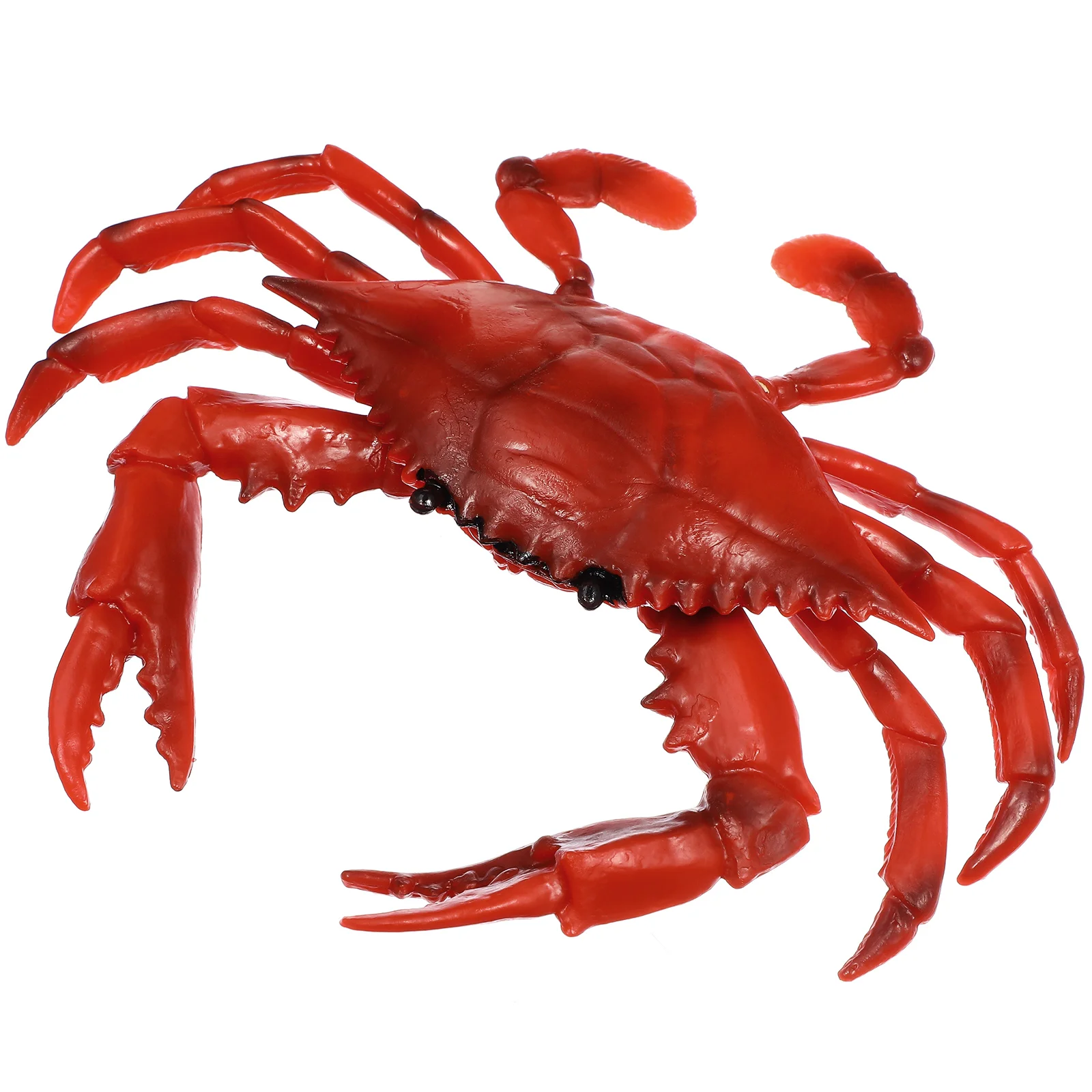

Educational Crab Toy Model Toys Animal High Simulation Desktop Decoration Children's