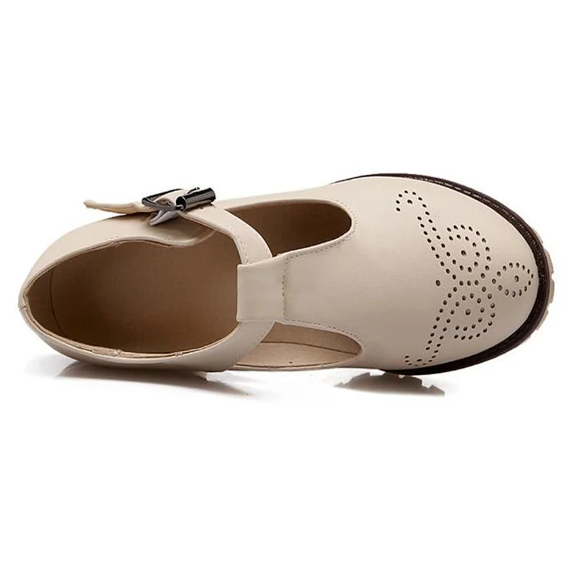 Buckle Strap Platform Pumps Shoes for Women T Strap Cutouts Round Toe Thick Sole High Heeled Spring Fall Winter Shoes