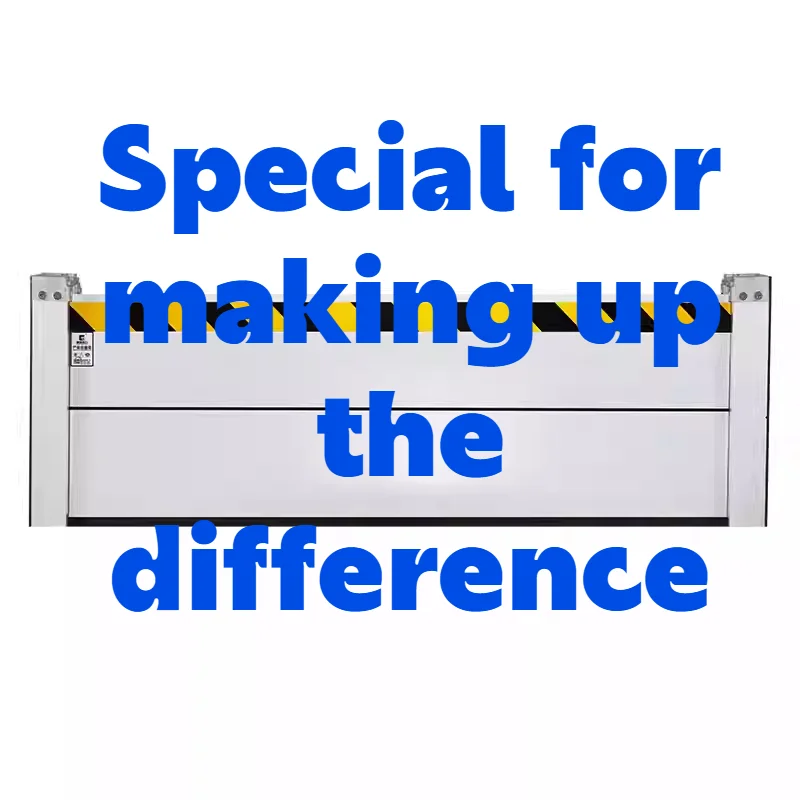 Additional Payment  Balance  Shipping Fee