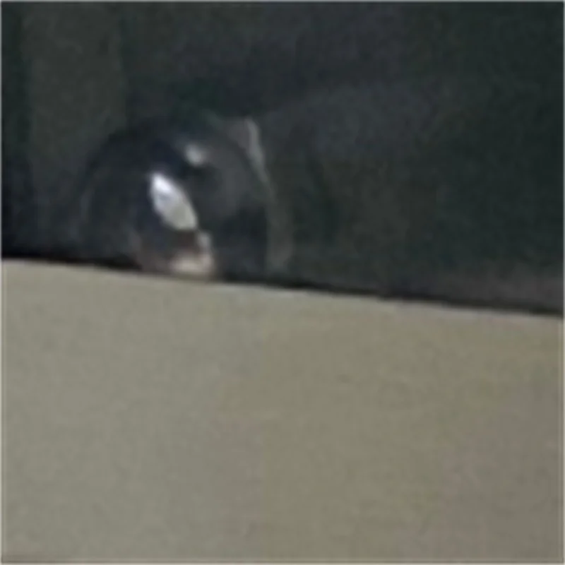 

Automatic Multi-function Vegetable Cutter Slicer Commercial Chopped Green Onion Leek Pickled Cabbage Shredded Pepper Slicer