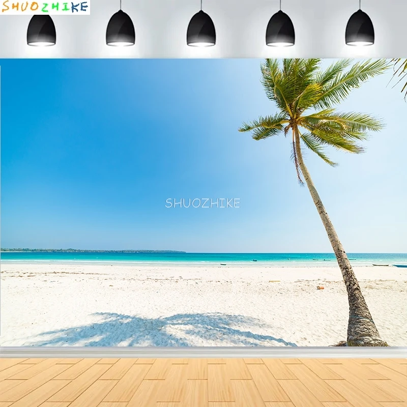 Красивый тропический пейзаж с песчаным пляжем фотографии фонов карибское море голубое небо облака фон для фотостудии SD-02