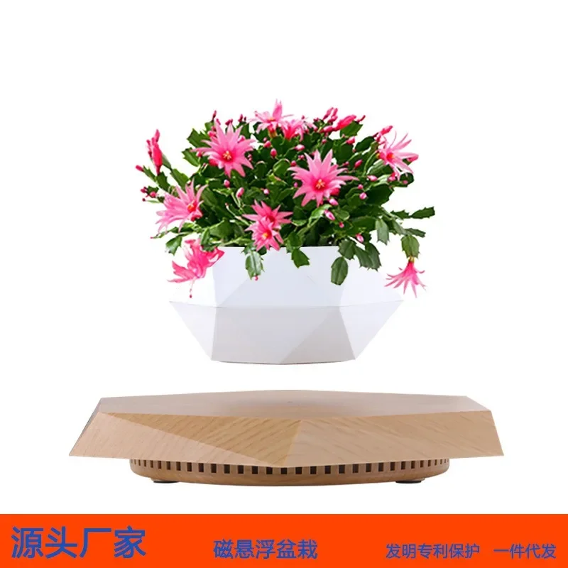Maglev potted plants, flower pots, creative bonsai handicrafts, gifts ins wind ornaments, wholesale, cross-border e-commerce