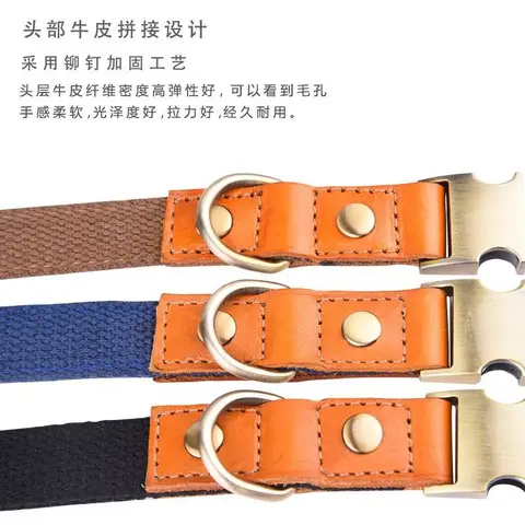 10 best sales Australisk nötkreaturshund - №10