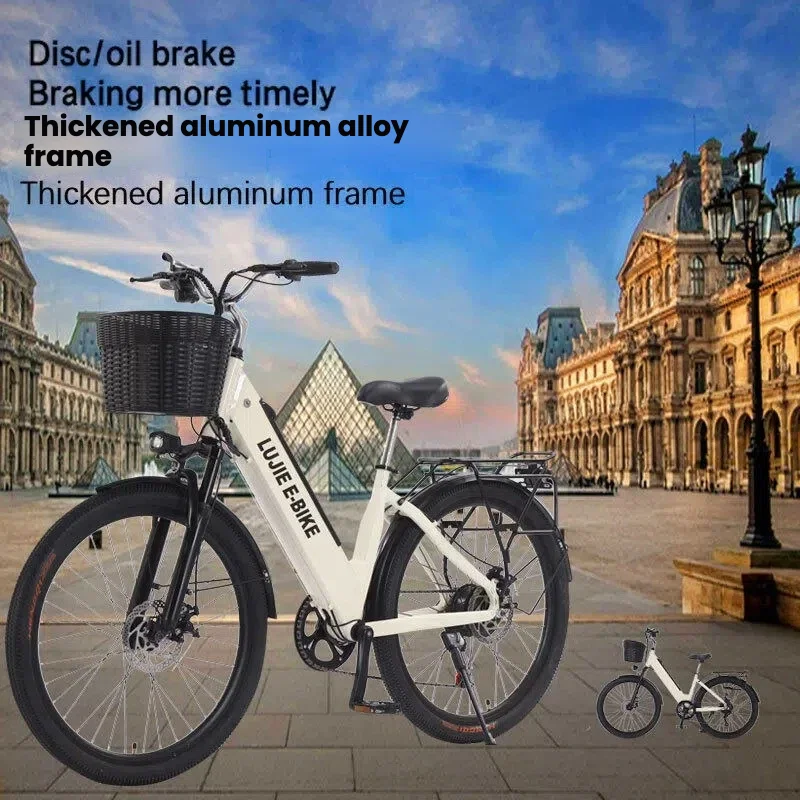 OEM New Model Electric Bike, Road Mountain Velo Electrique, Low Price Retro Custom Mini Ebike for Dropshipping