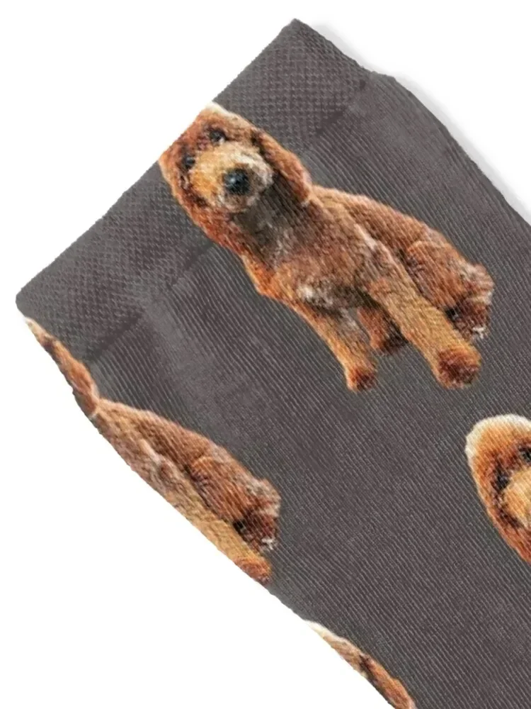 Goldendoodle Golden Doodle Cute Puppy Dog Socks compression Climbing shoes Men Socks Luxury Brand Women's