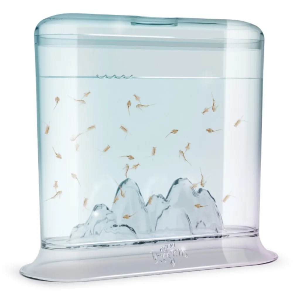 

1 PCS Red Aquadragons Aqua Dragons Little Sea Dragon Biological Hatching Experimental Toy Aquadragon Toys Set For Children New