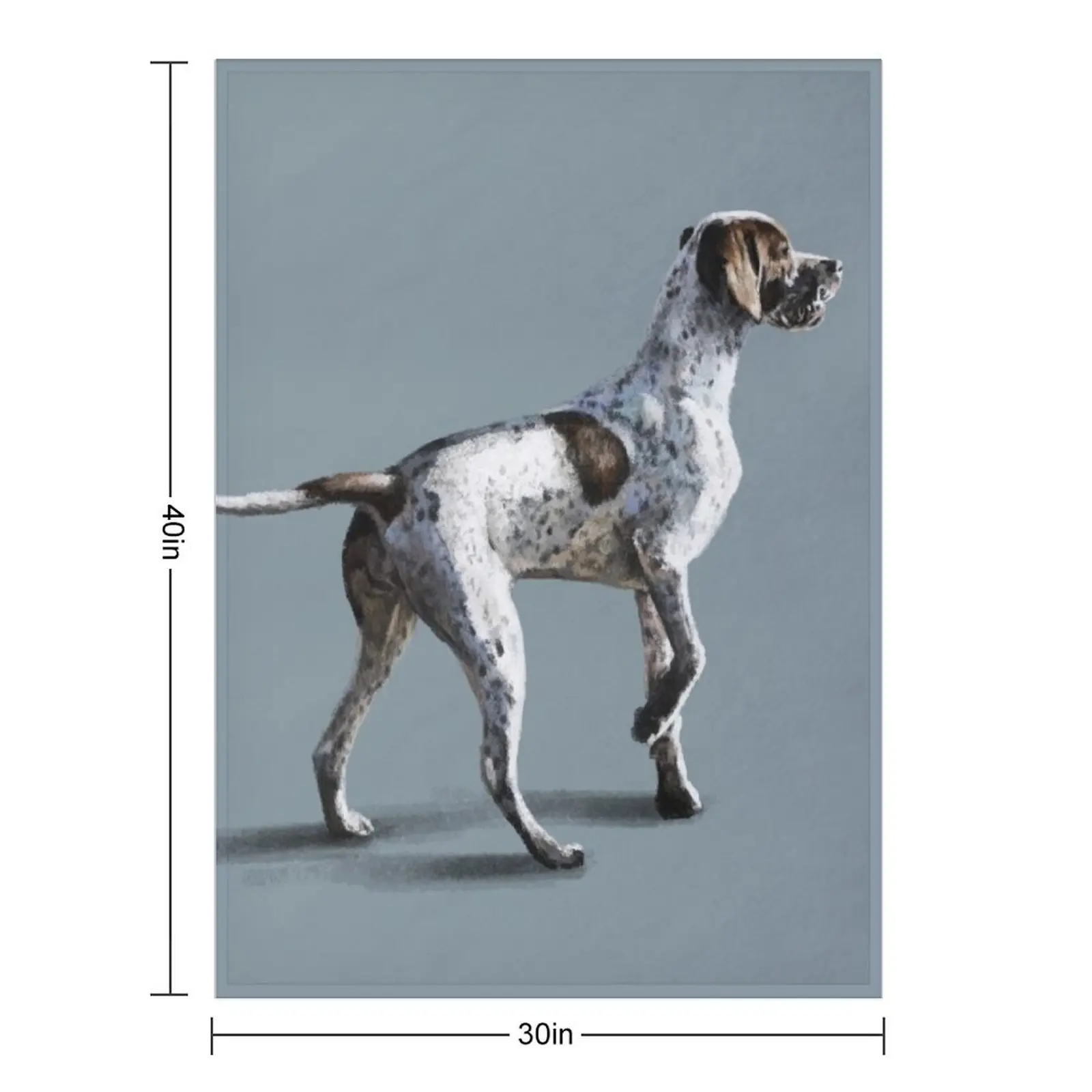 The Pointer Throw Blanket bed plaid Thermal Luxury blankets and throws Blankets