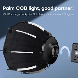 Quick Release Parabolic Softbox Beehive Grid Octagonal Soft Stand Compatible with ZU80/RL80 and other mini Bowens fixtures 30cm