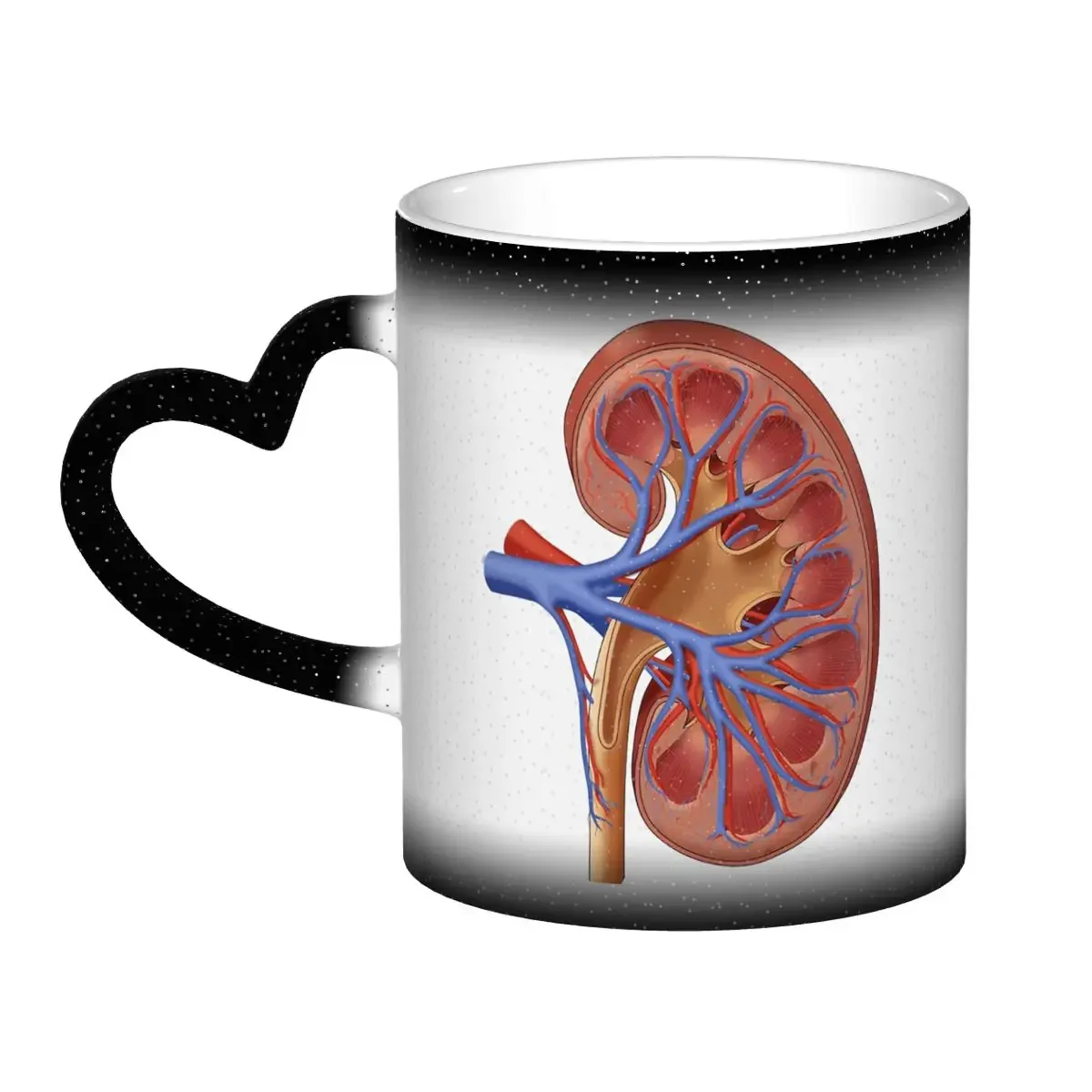 

Забавная керамическая кружка с медицинским изображением анатомии почки, кофейная чашка, чайная кружка, чашка для молока, посуда для напитков, подарок для женщин и мужчин