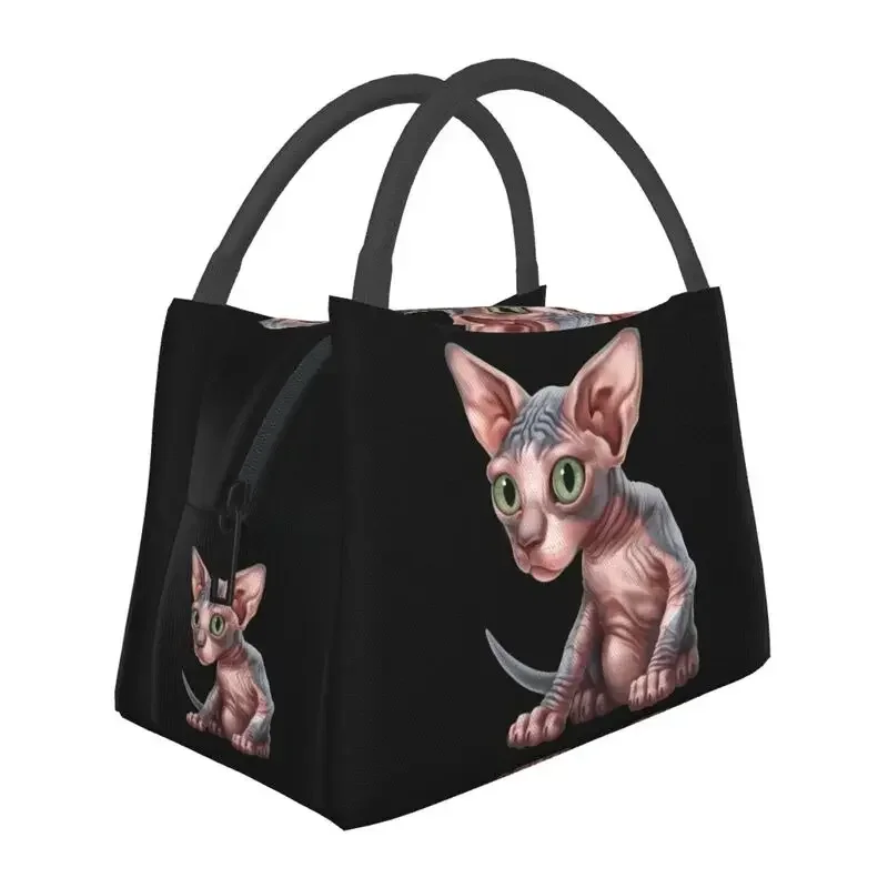Shpynx Cat Sac à déjeuner isotherme thermique pour femme, chaton mignon, fourre-tout réutilisable pour pique-nique en plein air, stockage de repas, boîte de nourriture