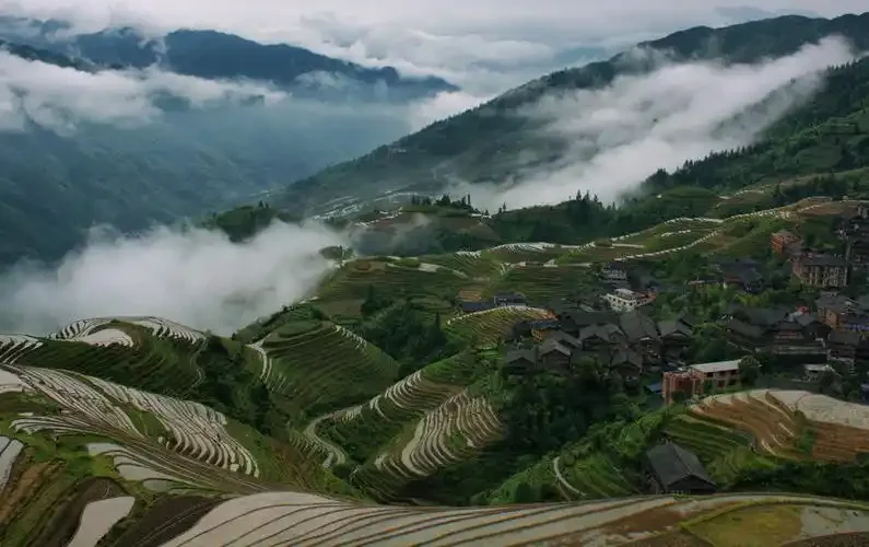 

For VW Golf 6 2010-2014 Black Under Engine Guard Plate Splash Shield Mud Fender Cover Mudguard Protector