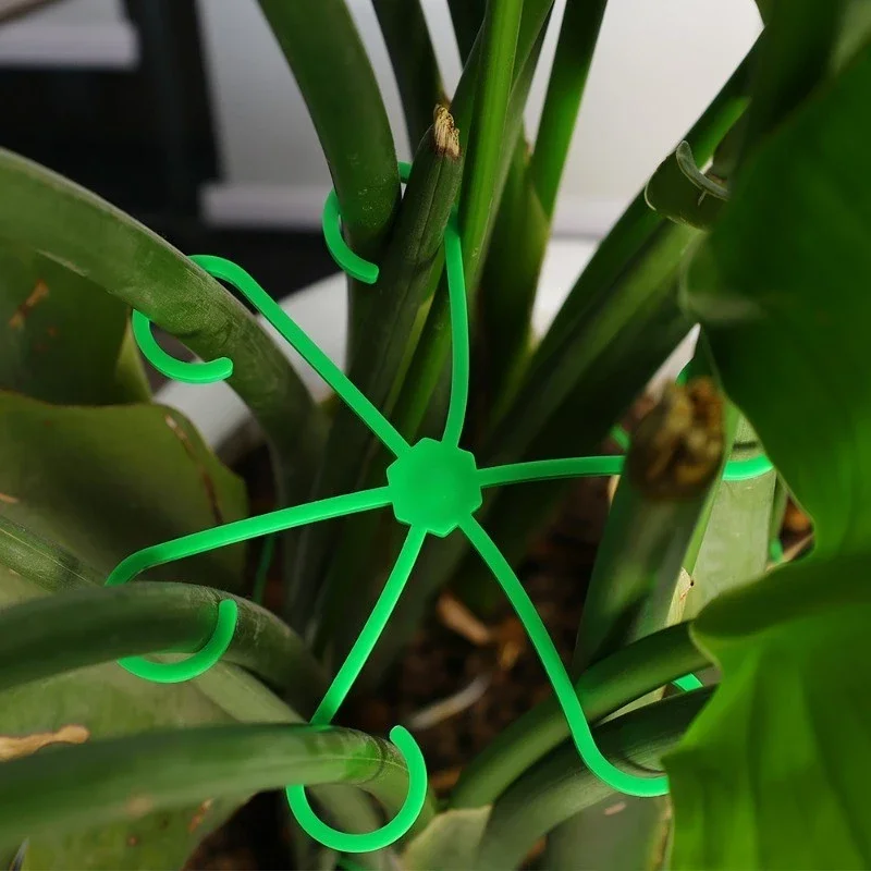 

4PCS Plant Stem Support Clips, Flower Stem Gathering Frame, Support Fixer - Anti-Toppling, Hydroponic Branch Fixing Pot Rack