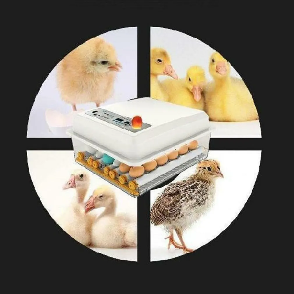 110V/220V Rumah Tangga 16 Telur Inkubator Daya Ganda Cerdas Otomatis Penetas Telur untuk Ayam Bebek Angsa Burung Merpati Puyuh