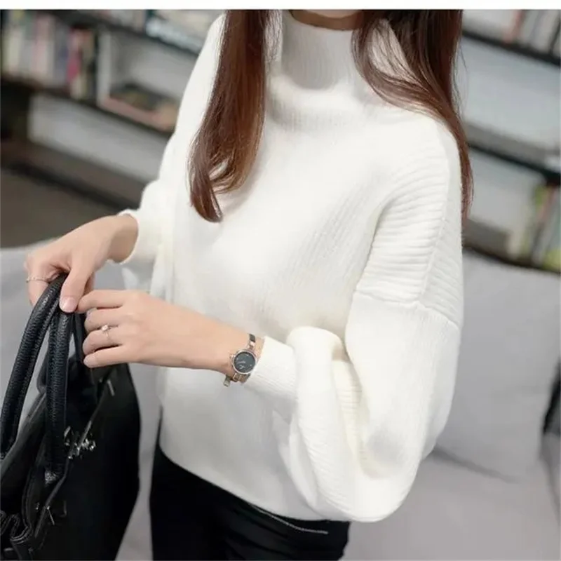 

Women's Turtleneck Cashmere Sweater, Casual Loose Pullover, Long-sleeved, Hedging Base, Monochromatic, Fall, Winter XQ320