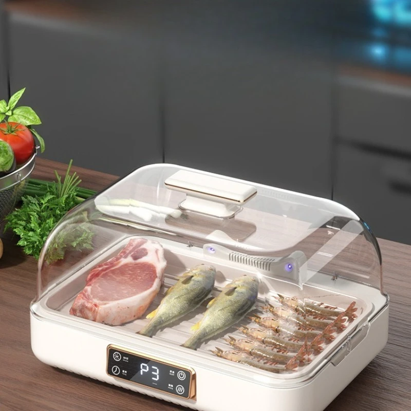 Thawer Household fresh-keeping fast automatic heat conducting plate thawing meat steak constant temperature and large capacity