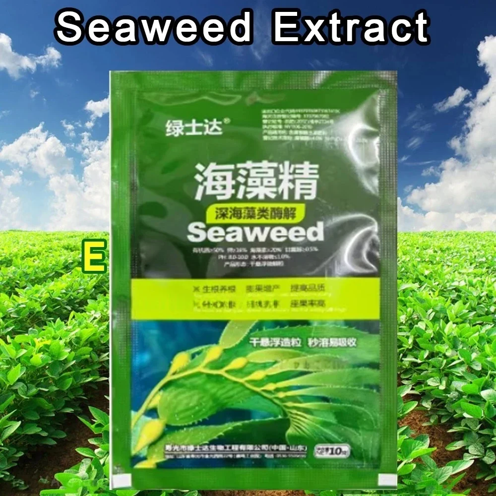 10g Seaweed Extract New Organic Fertilizer For Garden Bonsai Helps Plants Grow Rich In Organic Matter