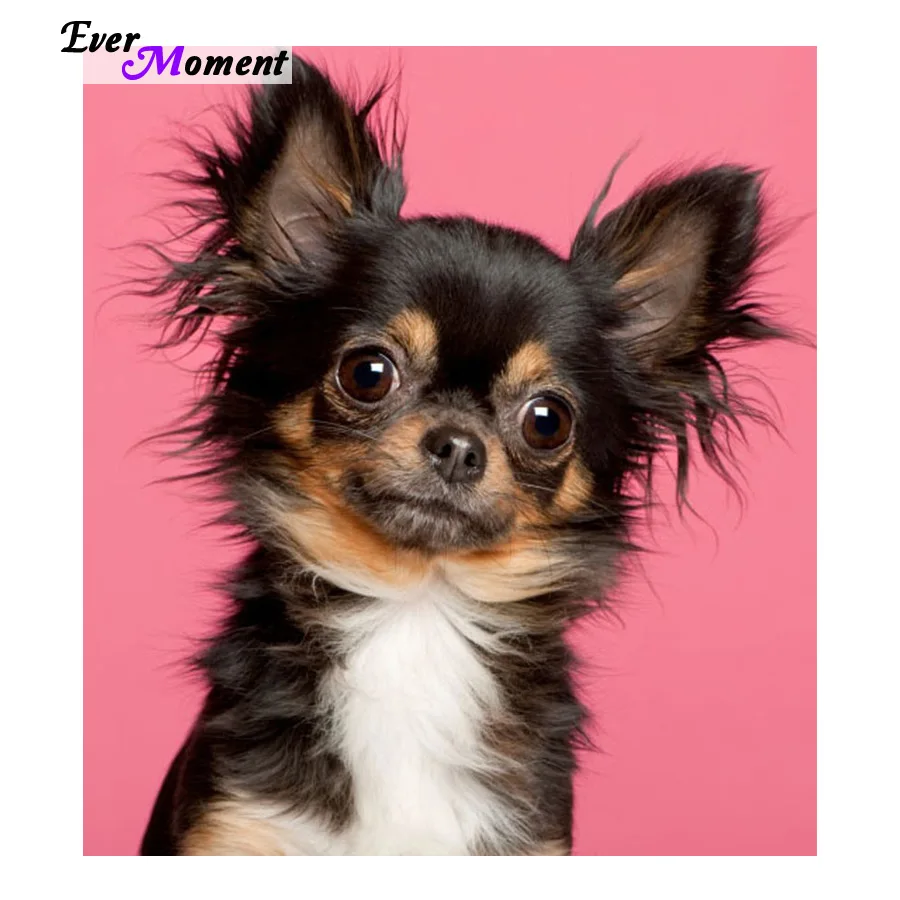 

5D DIY Diamond Painting Diamond Cross Stitch kit square Diamond Embroidery Dog Mosaic Set pattern Home Decor ASF398