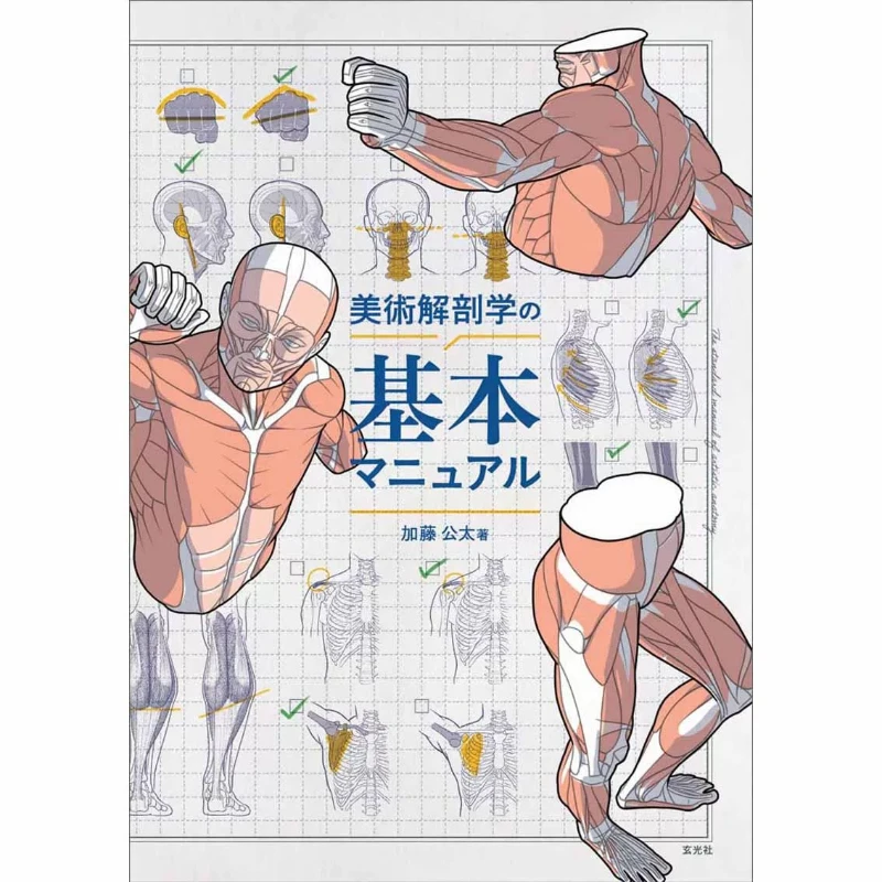 Basic Textbook of Art Anatomy Written By Kota Kato Artistic Anatomy and Art Drawing Reference Book Japanese Version