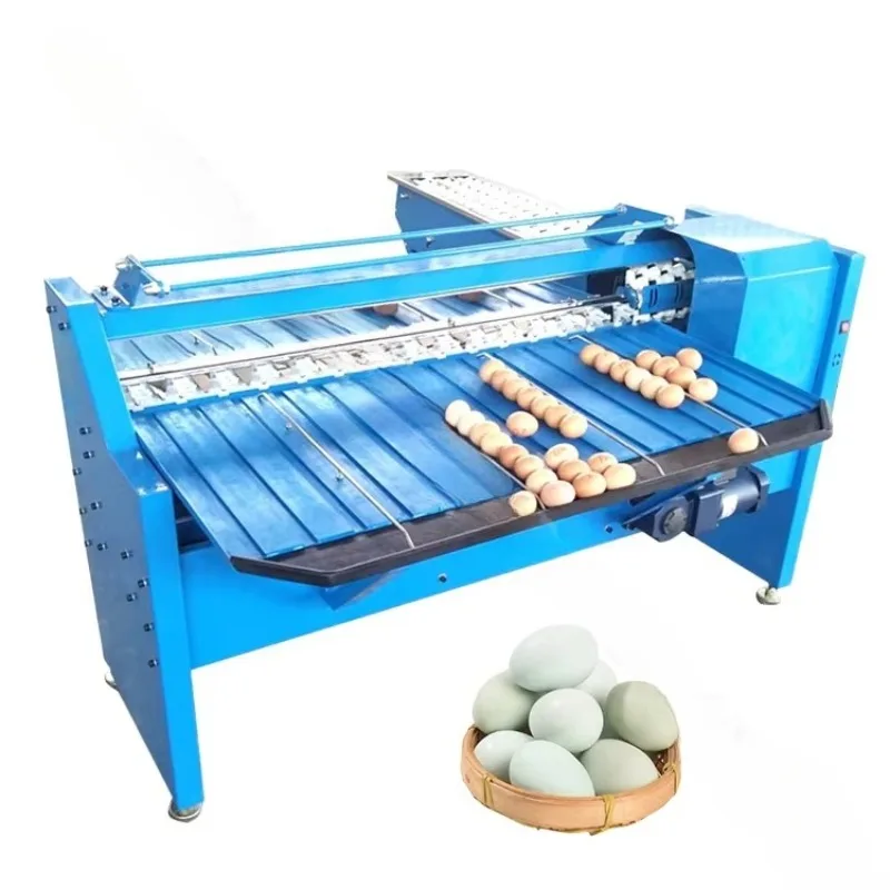 Customizable Small Grader Machine Philippines Egg Processing Machinery