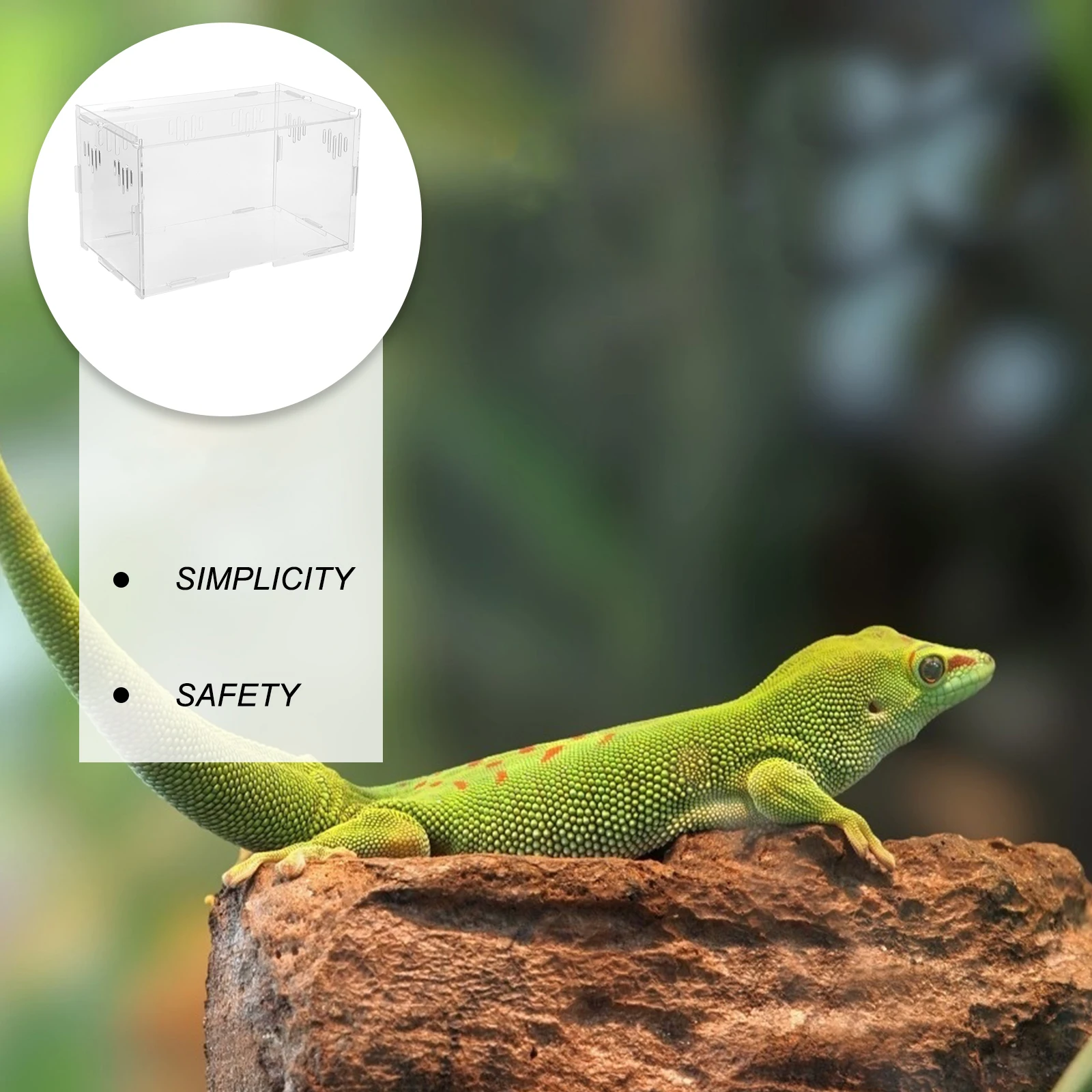 

Reptile Terrarium Lizard Enclosure Acrylic Spider Breeding Box Snake Tank Critter Container Ventilated Design Lightweight Easy