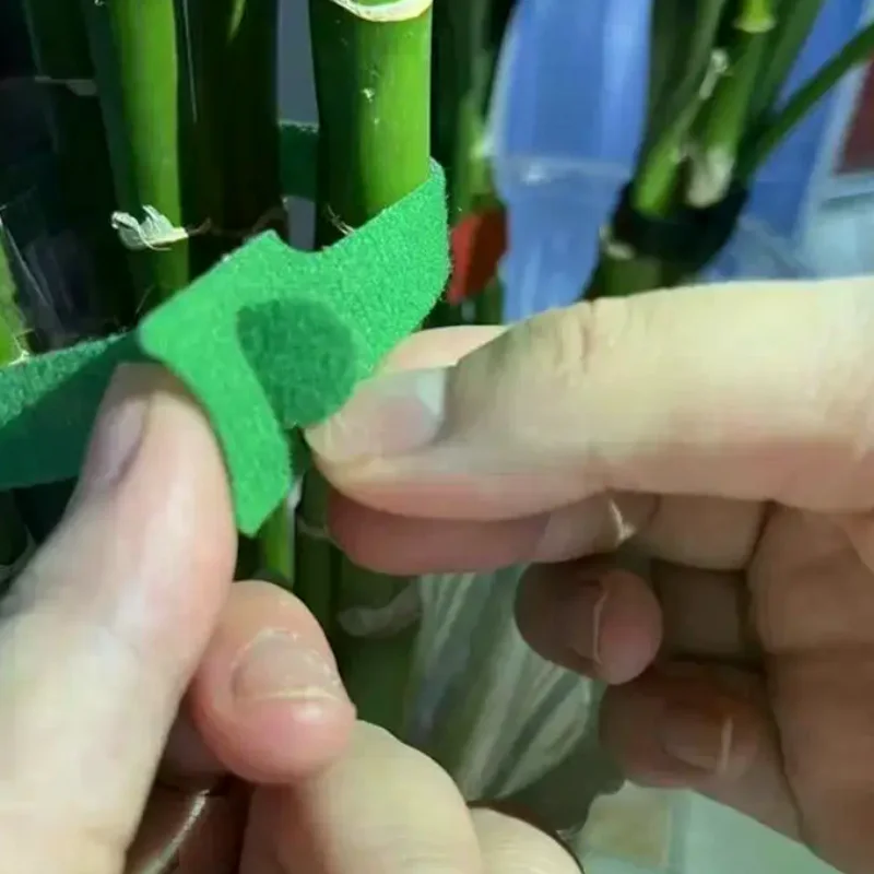 50 100 200pcs Garden Nylon Plant Ties Adjustable Reusable Hook Non Slip for Indoor Outdoor Plant SupportHot Sale