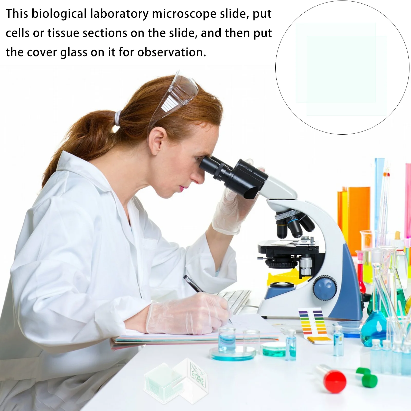 10 Boxes Microscope Slides Glass Slides Premium Biological Education Observation of Plant Animal Tissue Insects