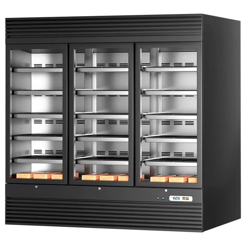 Commercial Dry Aging Display Beef Cabinet Double Temp Digital Control LED Fan Cooling for Steak Preservation Custom