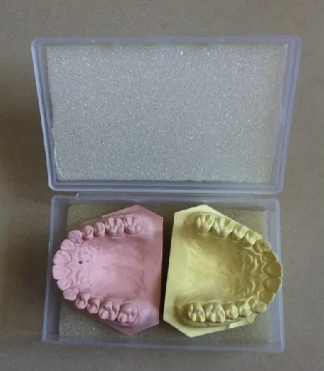 20PCS Dental Storage Transportation Box delivery boxes plaster mold storage box technical plant with sponge optional SL812