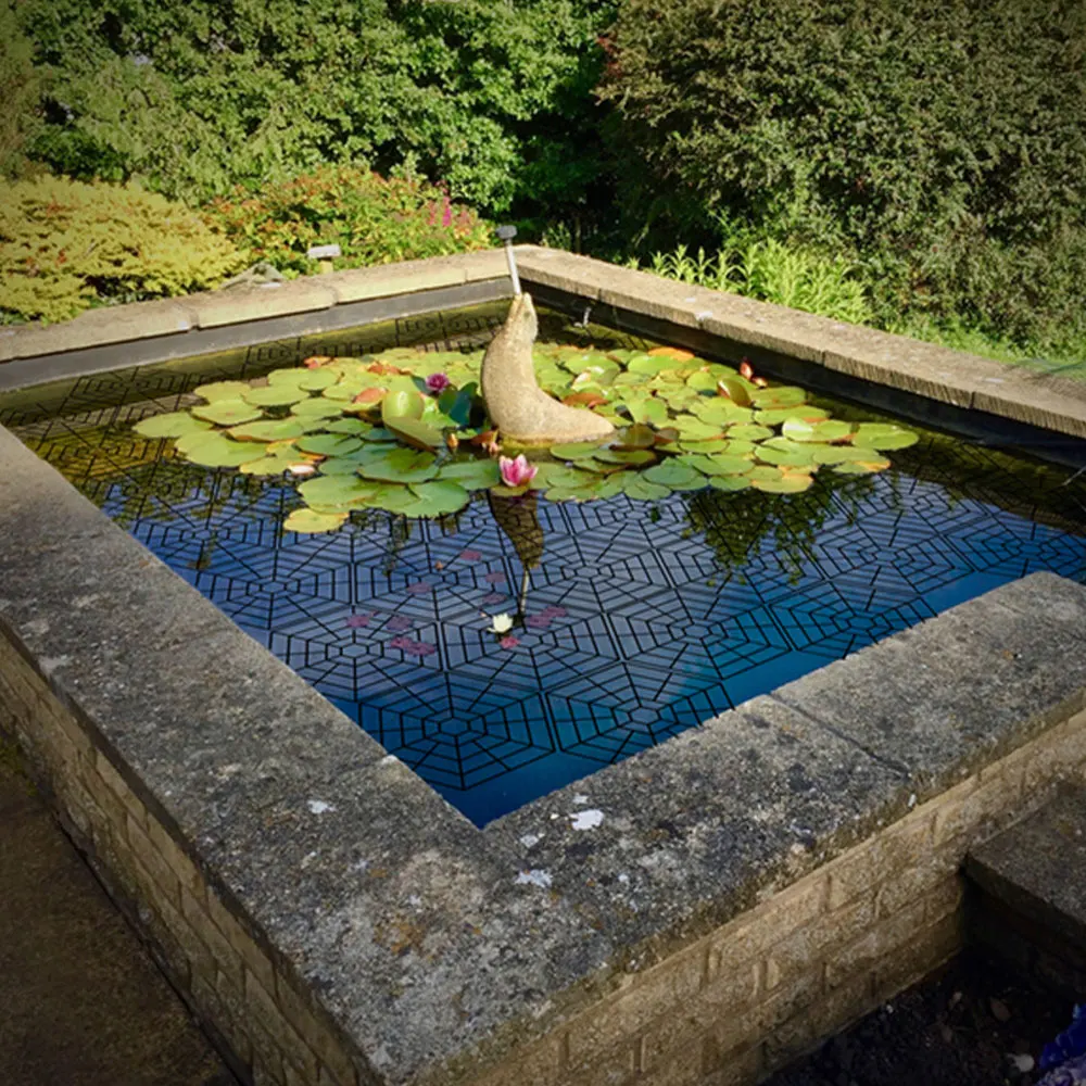 Thumbnail 3 - #61 Popular Ponds Choices