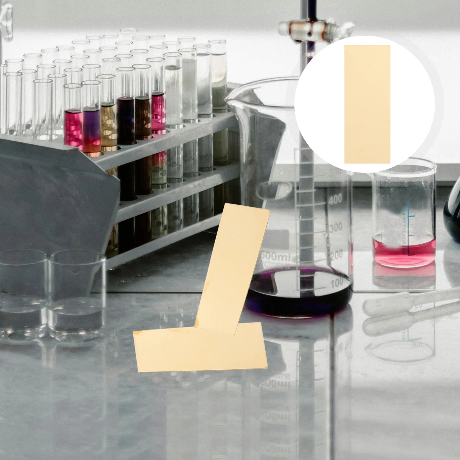 

10pcs Experimental Materials Science Experiment Kits Fruit Anode Sheets Brass Plates for Kids Lab Teaching Supplies