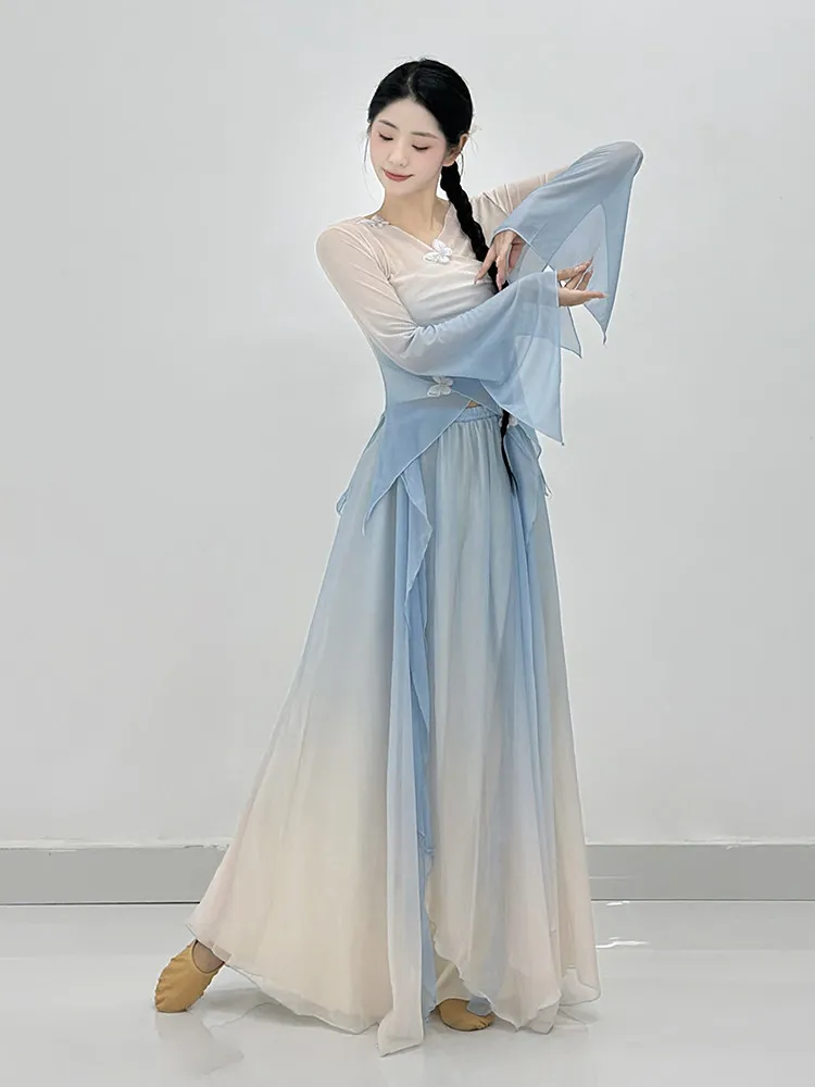 Traditional Chinese Yangko Dance Costume Women National Dance Clothing Performance Stage Wear Ancient Classical Dance Outfit view 4