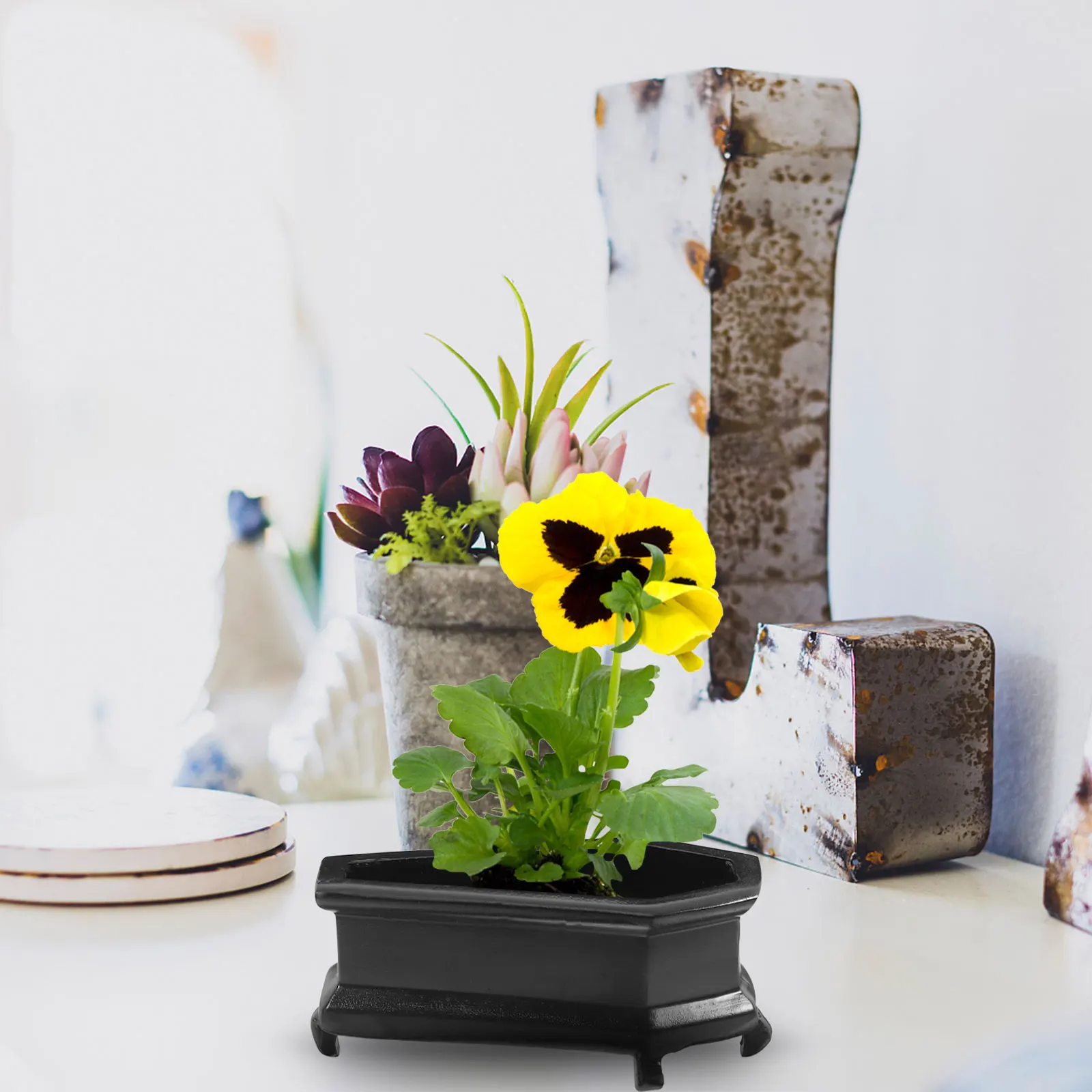 

Gothic Style Coffin-Shaped Planter Resin Decorative Flower Pot for Succulents Cacti Desktop Tabletop Ornament Centerpiece